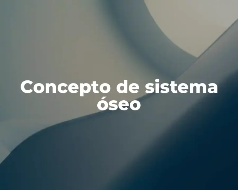 Concepto de sistema óseo
