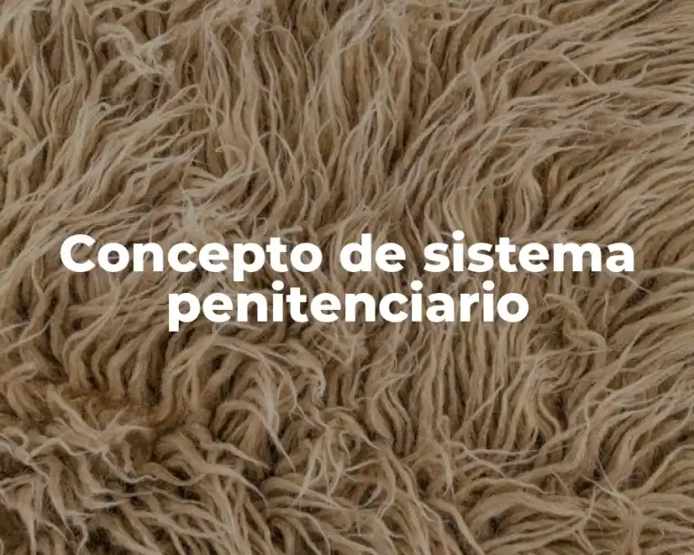 Concepto de sistema penitenciario