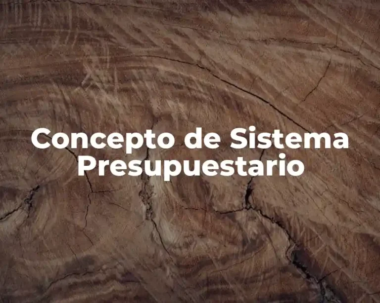 Concepto de Sistema Presupuestario