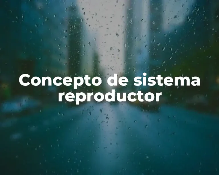 Concepto de sistema reproductor