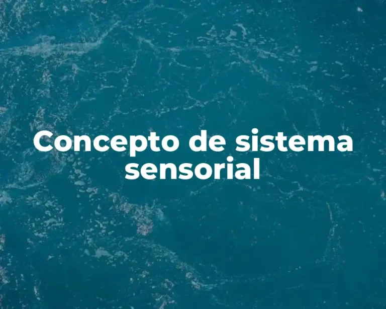 Concepto de sistema sensorial