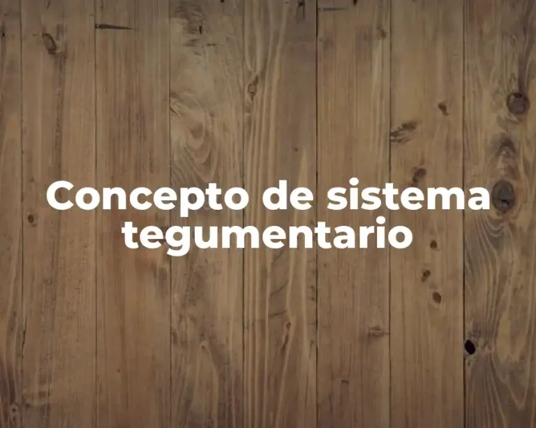 Concepto de sistema tegumentario