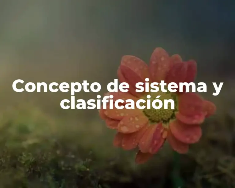 Concepto de sistema y clasificación