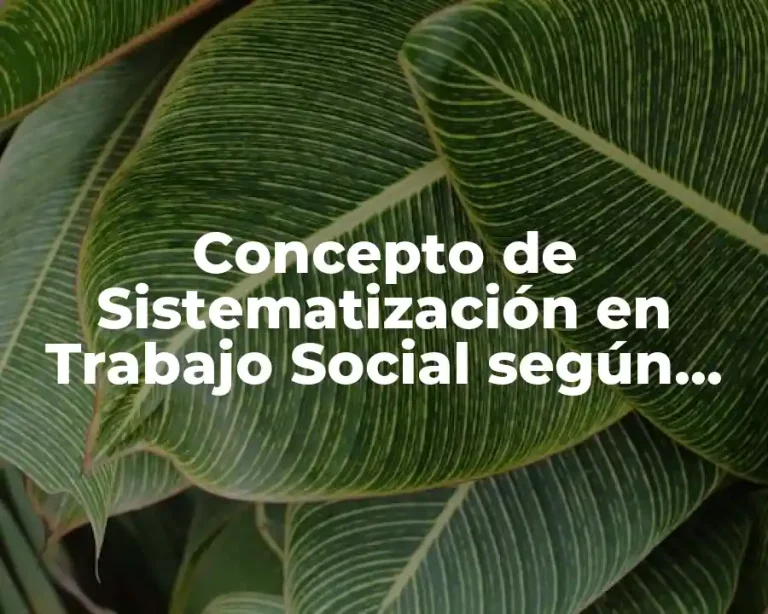 Concepto de Sistematización en Trabajo Social según Autores