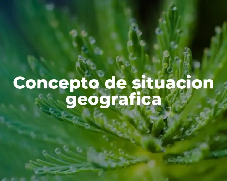 Concepto de situacion geografica