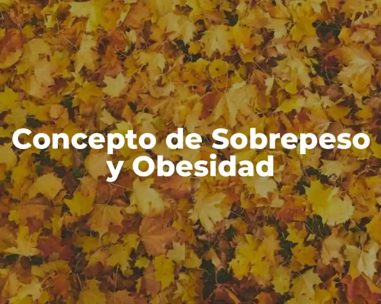 Concepto de Sobrepeso y Obesidad