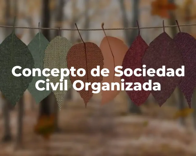 Concepto de Sociedad Civil Organizada