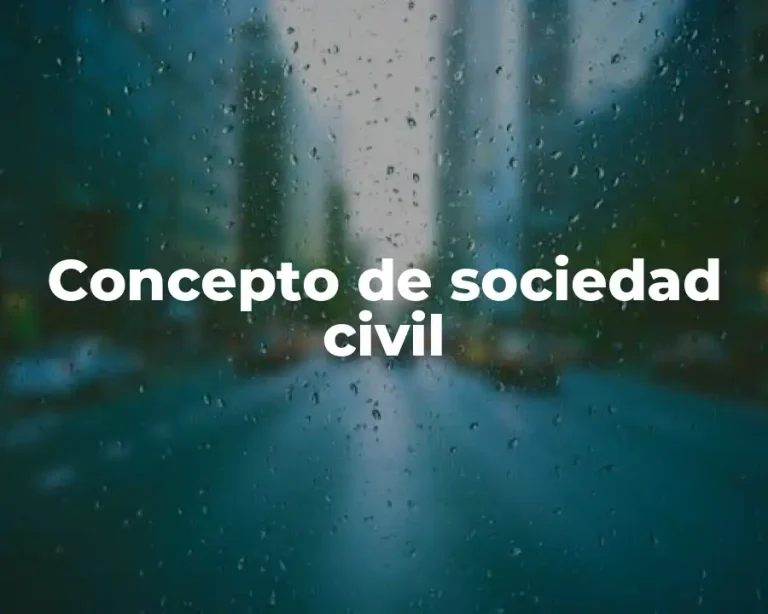 Concepto de sociedad civil