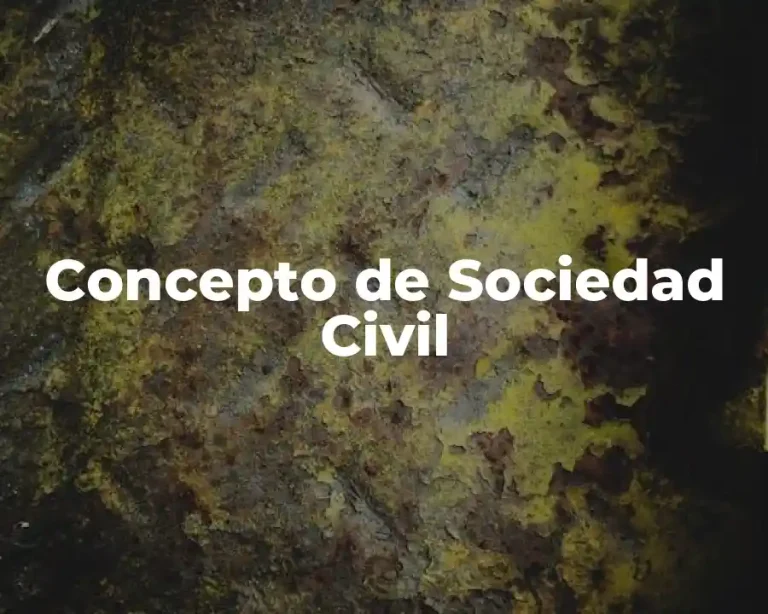 Concepto de Sociedad Civil