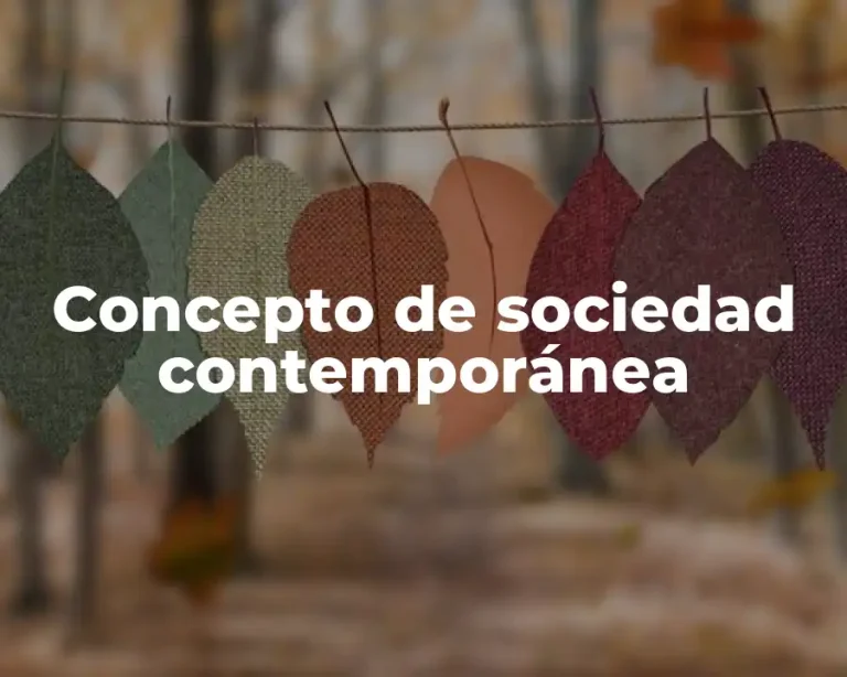 Concepto de sociedad contemporánea