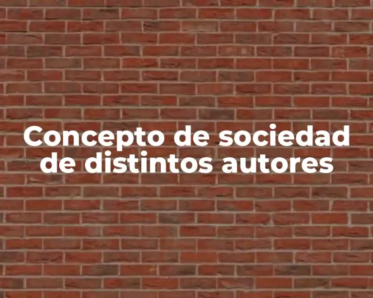 Concepto de sociedad de distintos autores