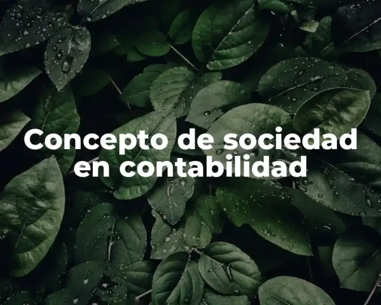 Concepto de sociedad en contabilidad