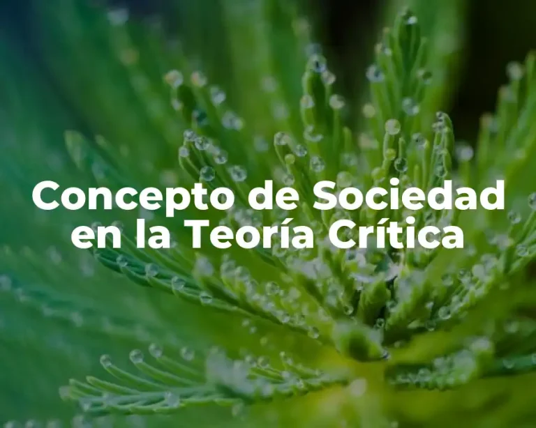 Concepto de Sociedad en la Teoría Crítica