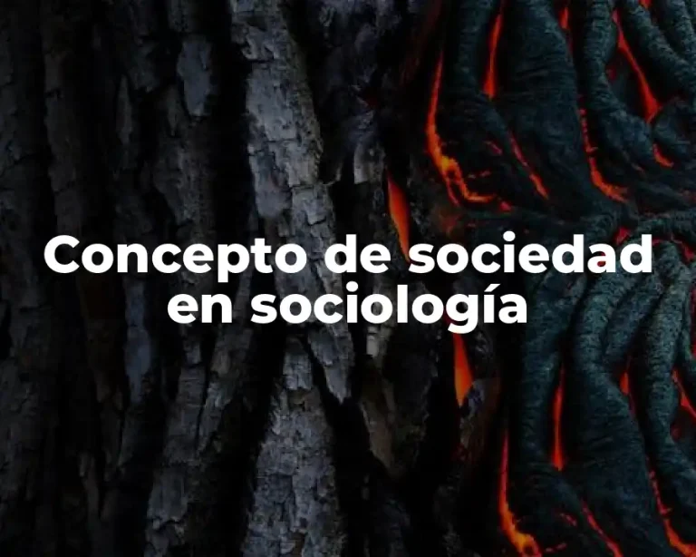 Concepto de sociedad en sociología