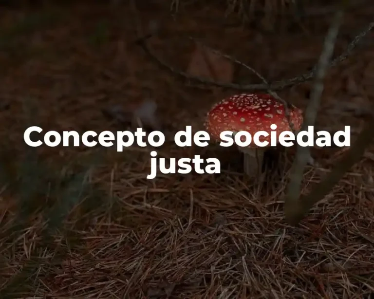 Concepto de sociedad justa