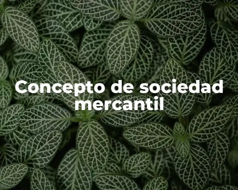 Concepto de sociedad mercantil