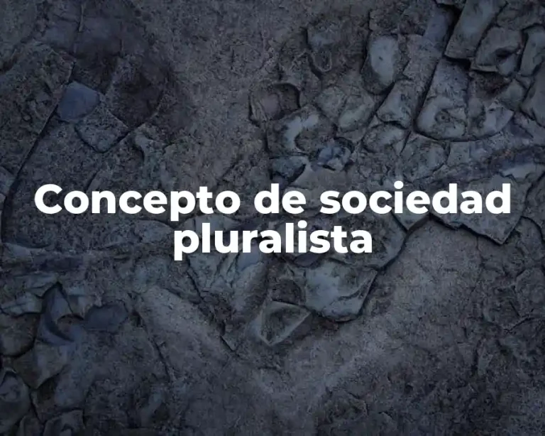 Concepto de sociedad pluralista