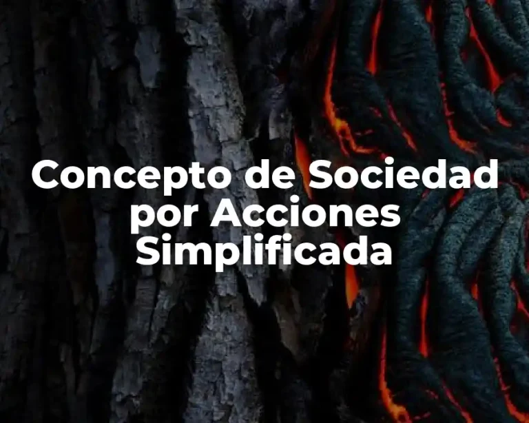 Concepto de Sociedad por Acciones Simplificada