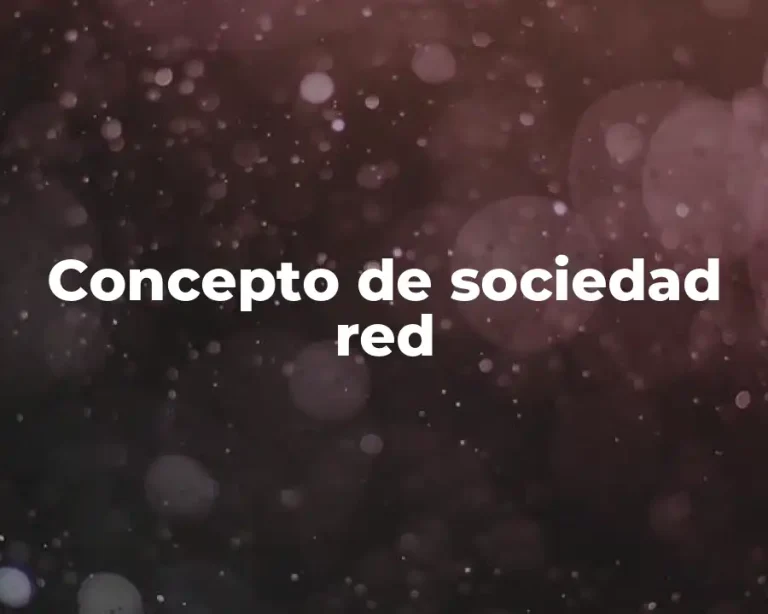 Concepto de sociedad red