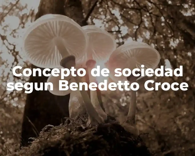 Concepto de sociedad segun Benedetto Croce