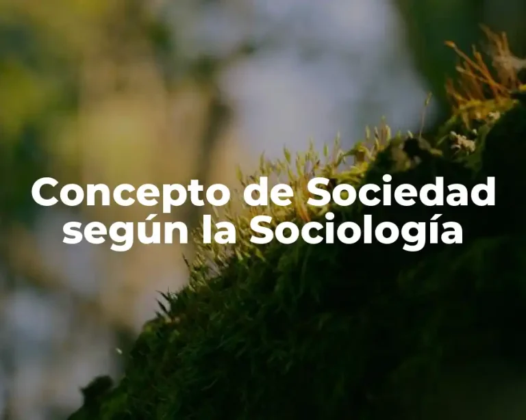 Concepto de Sociedad según la Sociología
