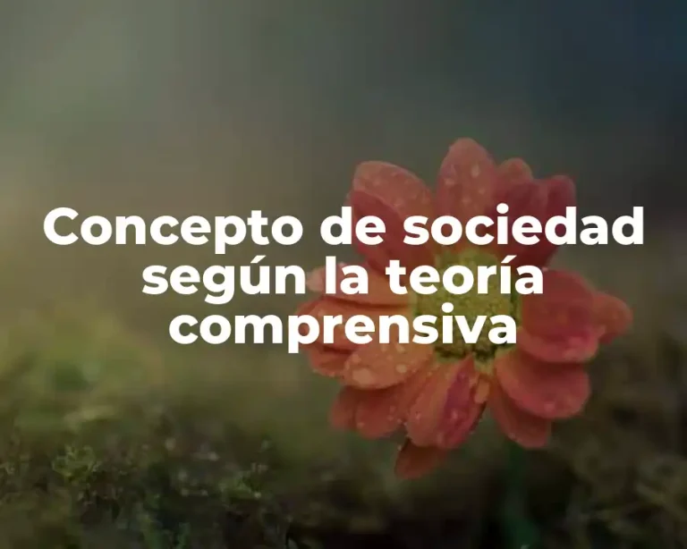 Concepto de sociedad según la teoría comprensiva