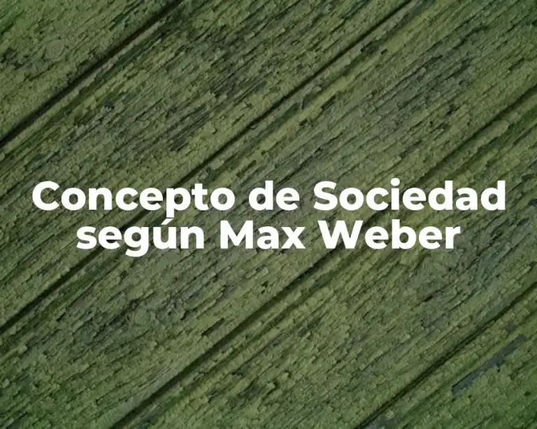 Concepto de Sociedad según Max Weber