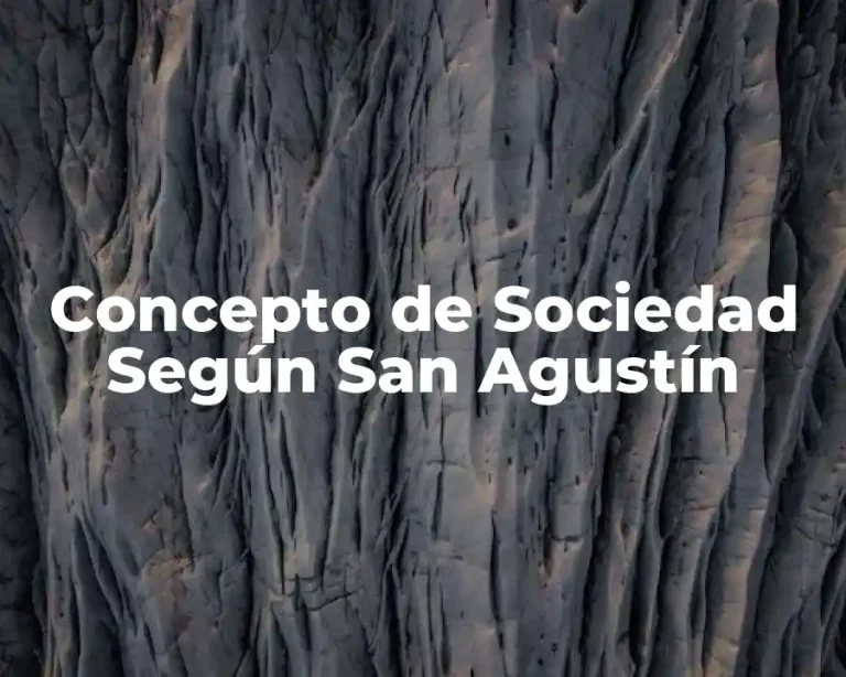 Concepto de Sociedad Según San Agustín