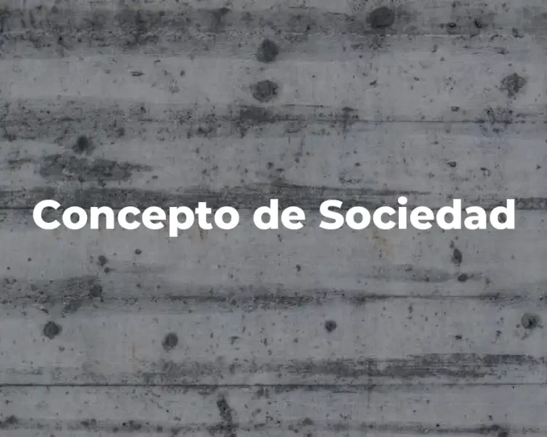 Concepto de Sociedad