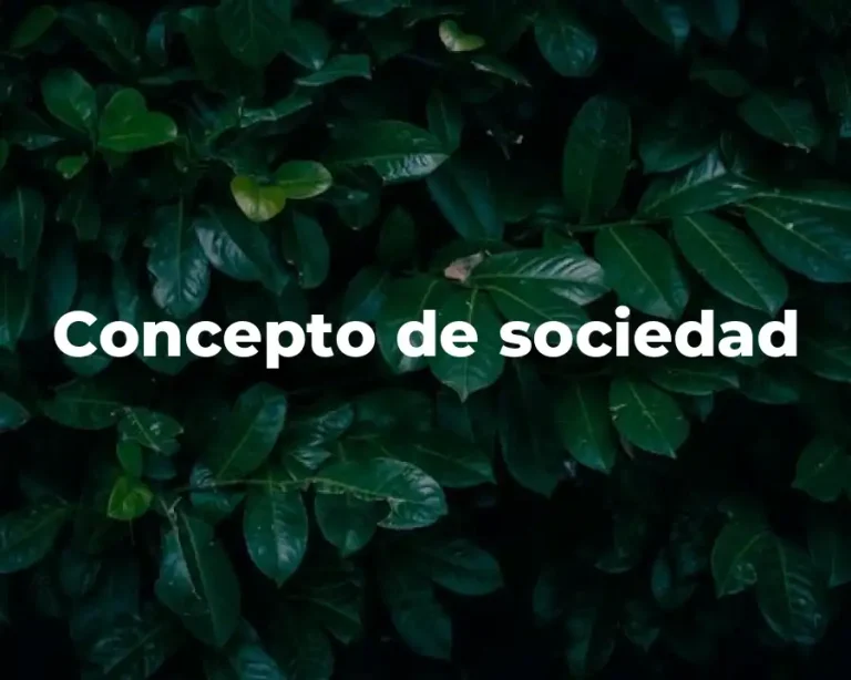 Concepto de sociedad