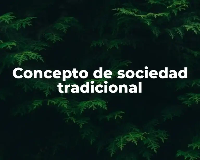 Concepto de sociedad tradicional