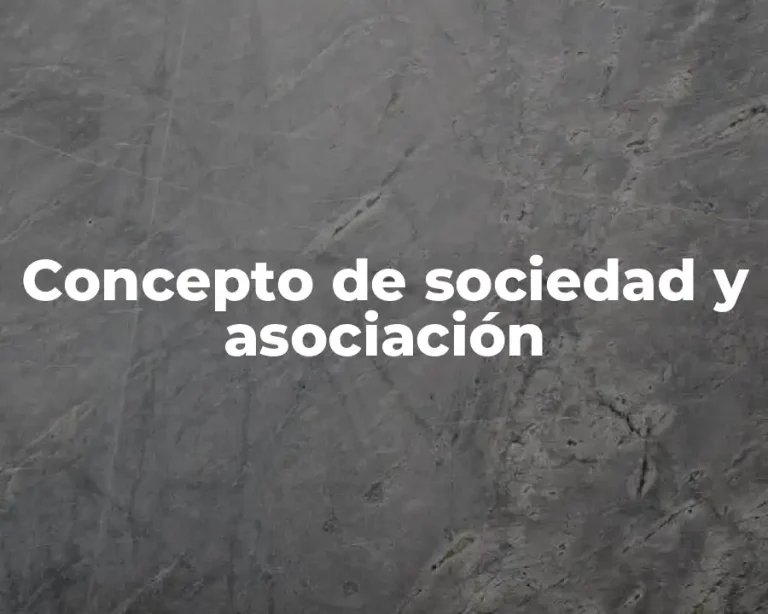 Concepto de sociedad y asociación