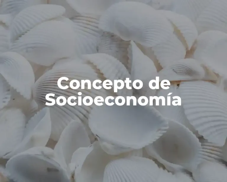 Concepto de Socioeconomía