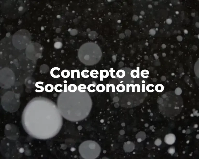 Concepto de Socioeconómico