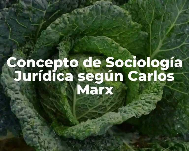 Concepto de Sociología Jurídica según Carlos Marx