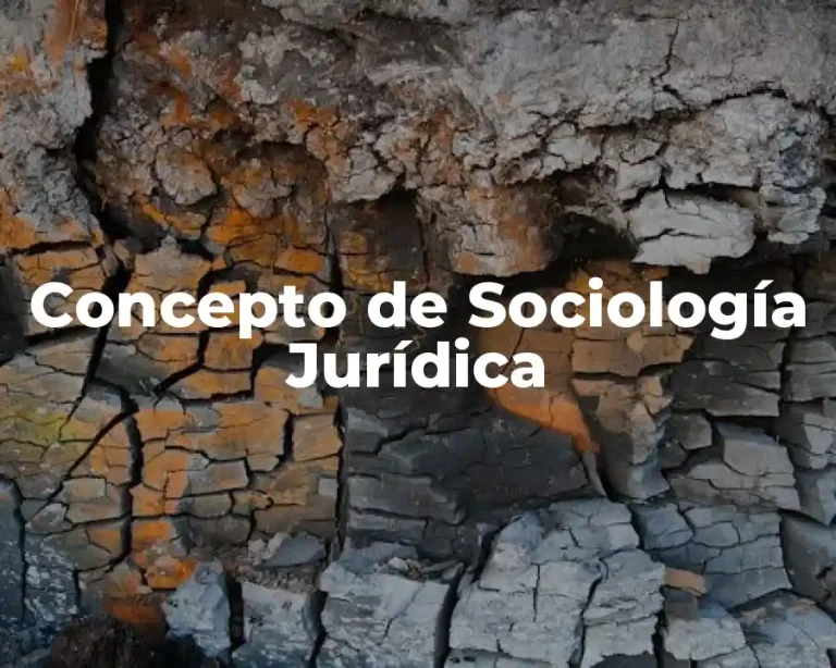 Concepto de Sociología Jurídica