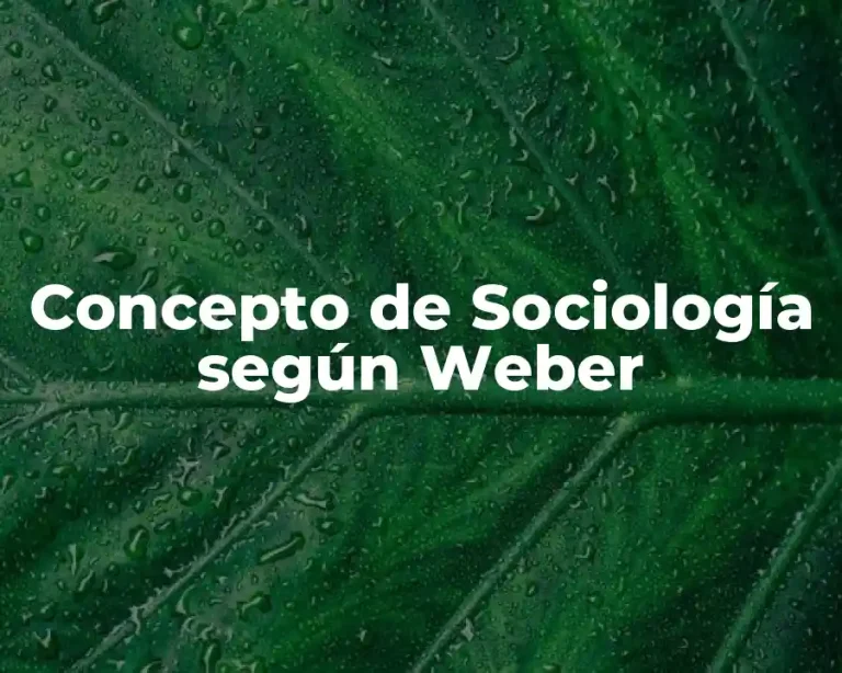 Concepto de Sociología según Weber