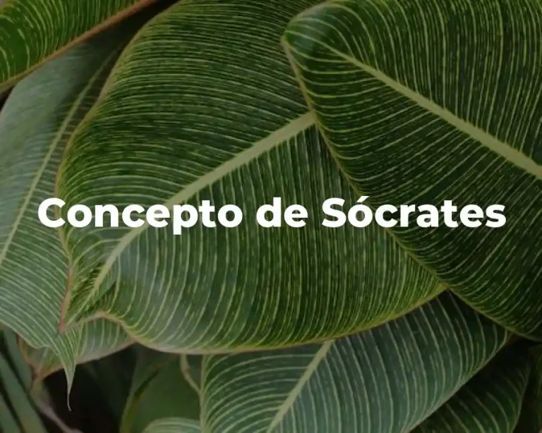 Concepto de Sócrates