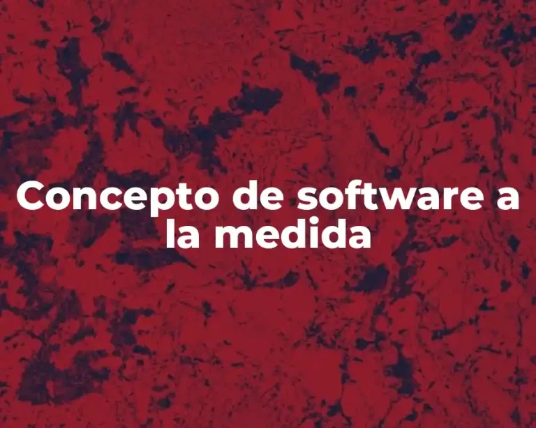 Concepto de software a la medida