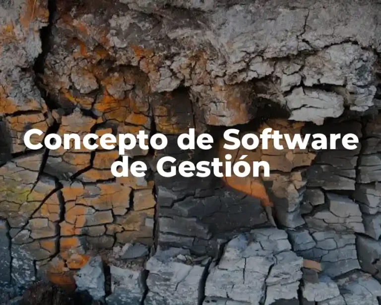Concepto de Software de Gestión