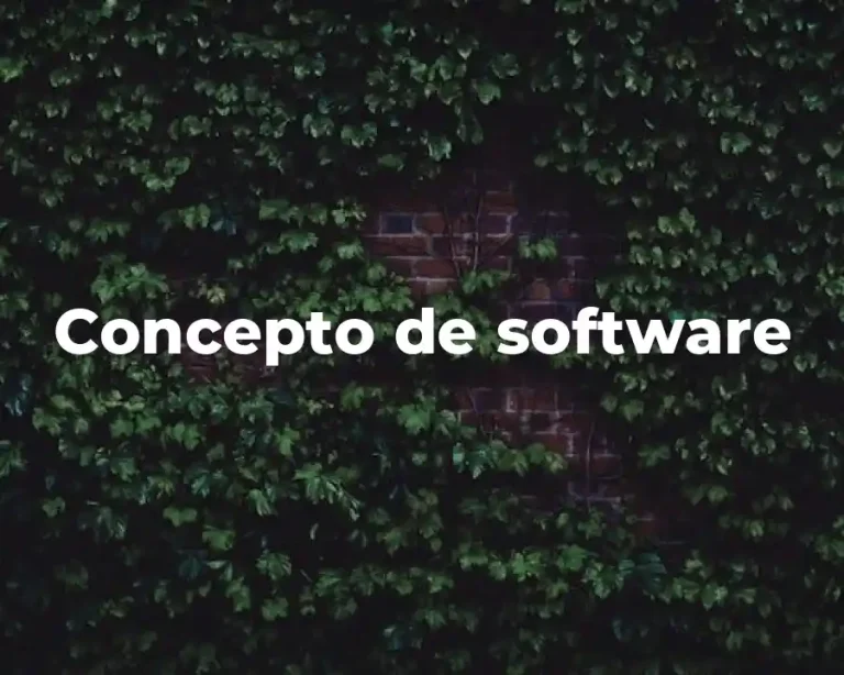 Concepto de software