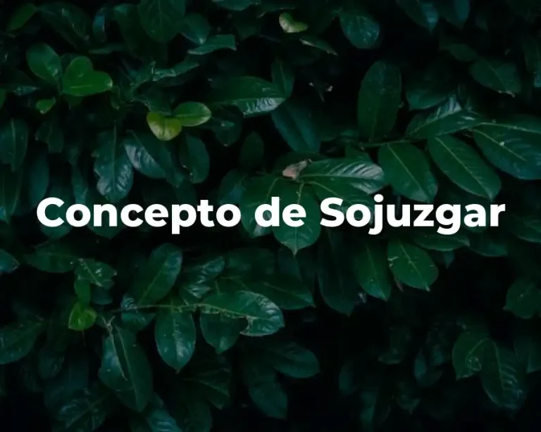 Concepto de Sojuzgar