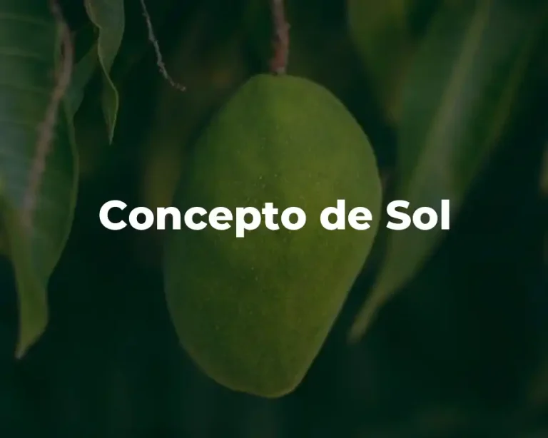 Concepto de Sol