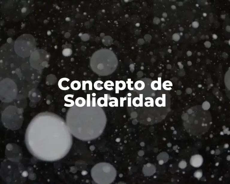 Concepto de Solidaridad