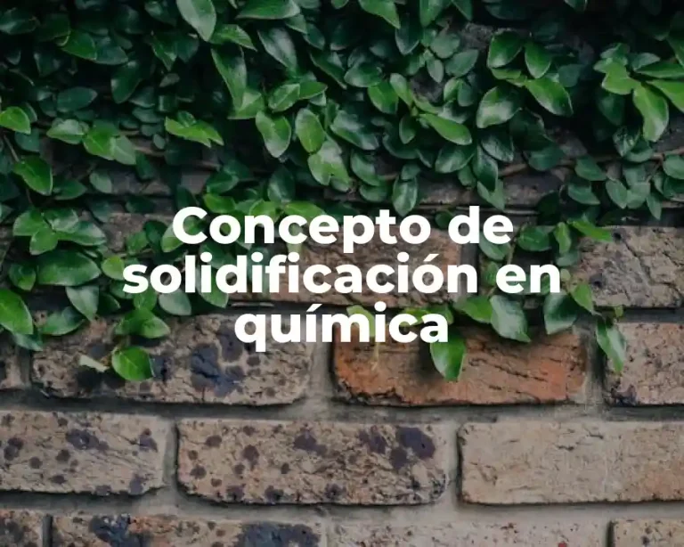 Concepto de solidificación en química