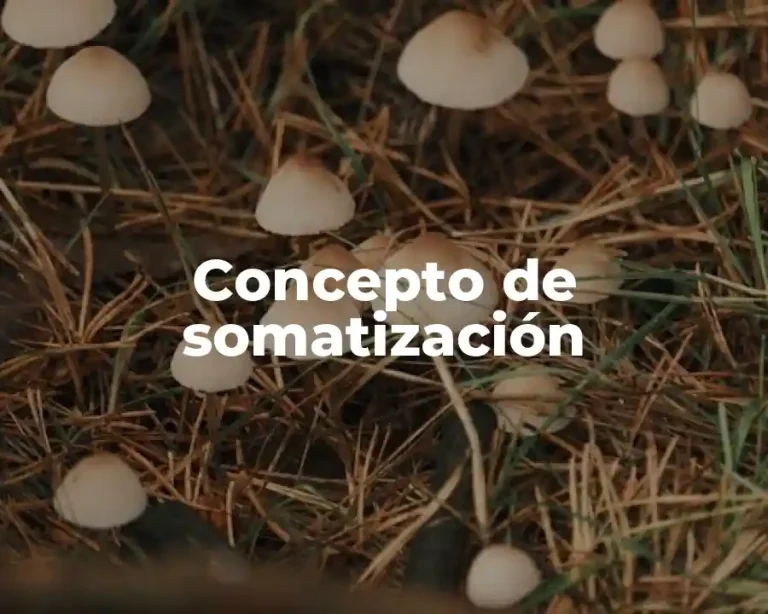 Concepto de somatización