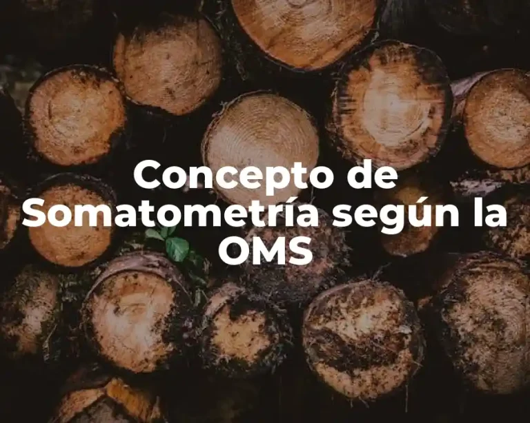Concepto de Somatometría según la OMS