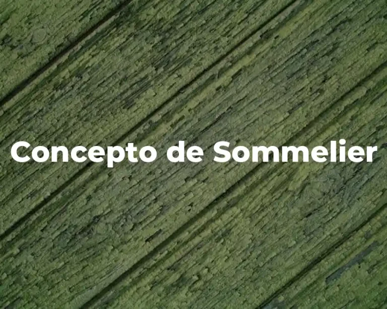 Concepto de Sommelier