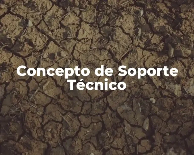 Concepto de Soporte Técnico