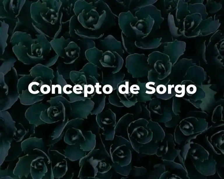 Concepto de Sorgo